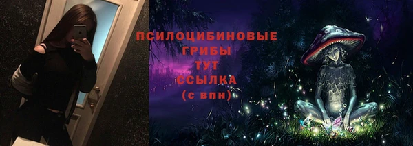 стафф Пестово