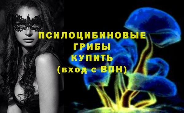 ГАЛЛЮЦИНОГЕННЫЕ ГРИБЫ Абинск